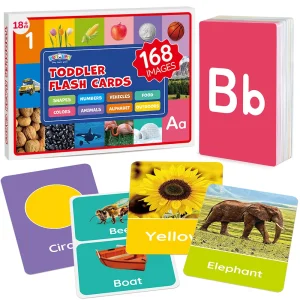 Double-Sided Toddler Educational Flash Cards